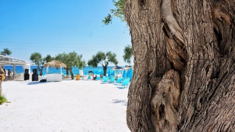    Фото: flickr.com/VladIslav Tep/CC BY-SA 2.0 Зоя Шпанько