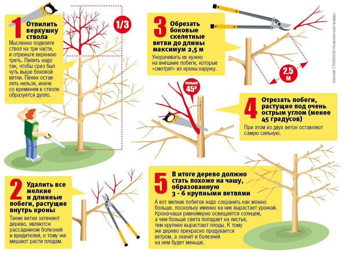    фото: https://www.kp.ru/