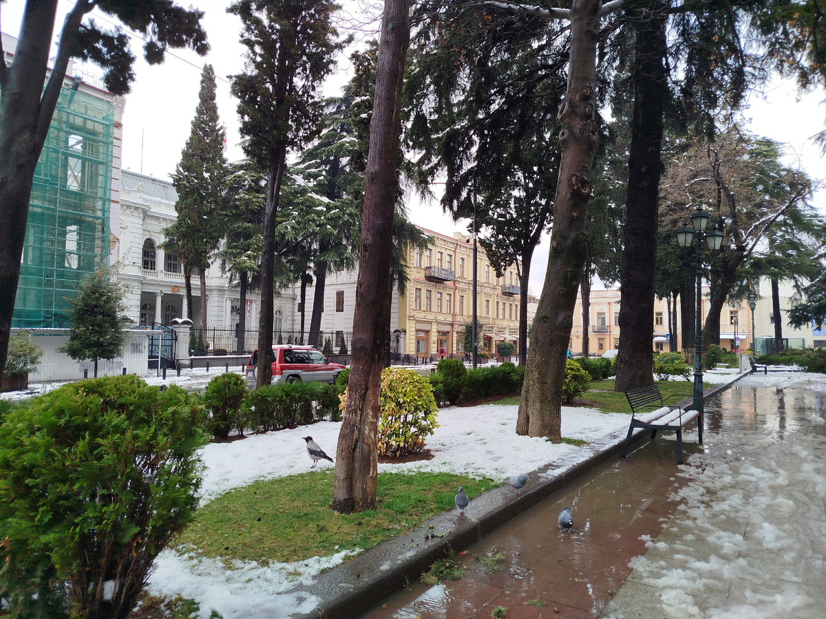 Голуби рады, купаются.....