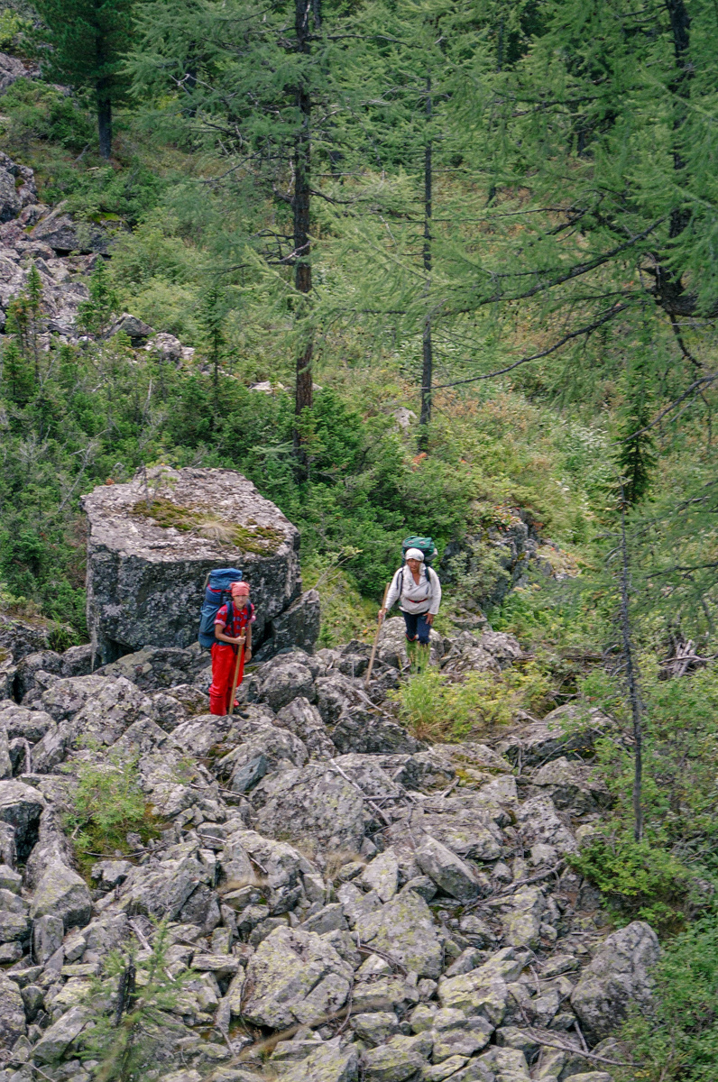 Продираемся сквозь тайгу и курумник