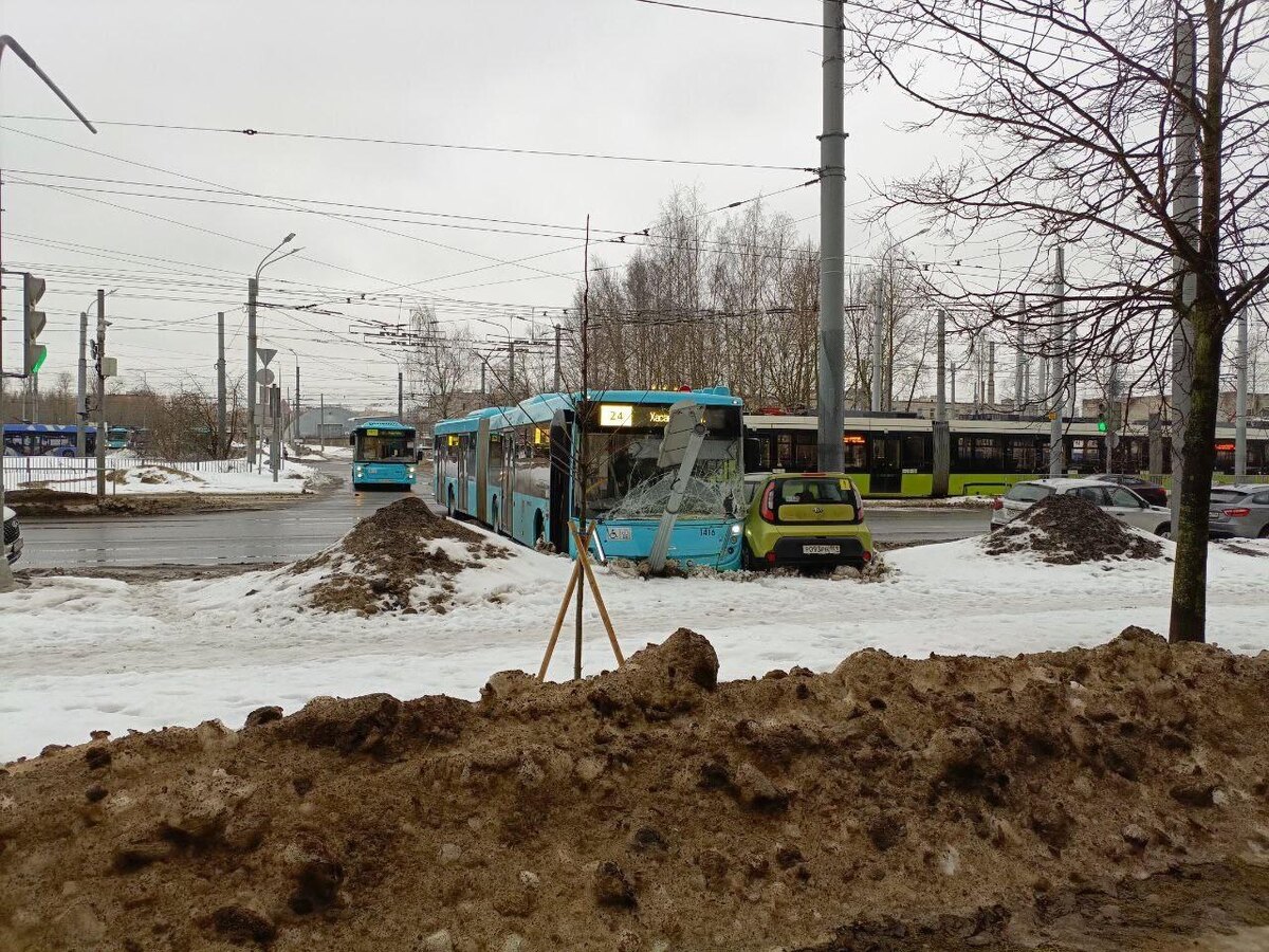    Фото: соцсети