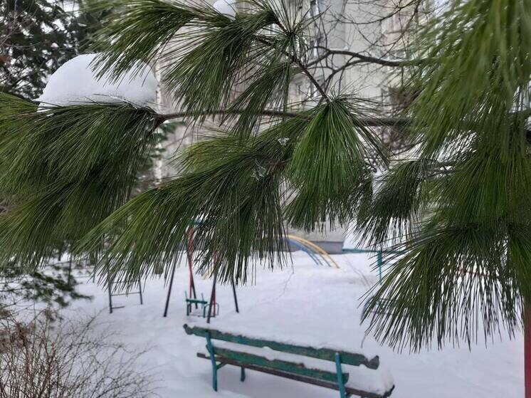     фото: архив мк в Мурманске