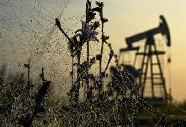 Фото: РИА Новости/чМаксим Богодвид