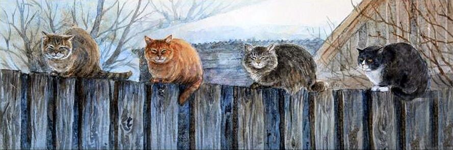 Рубачева Наталья, Март 2011 г.