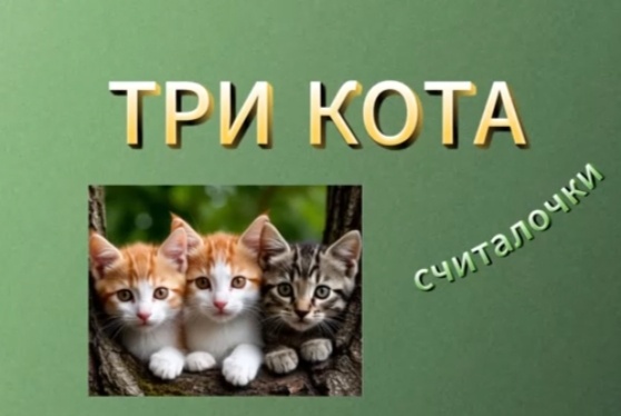 Фото автора канала 