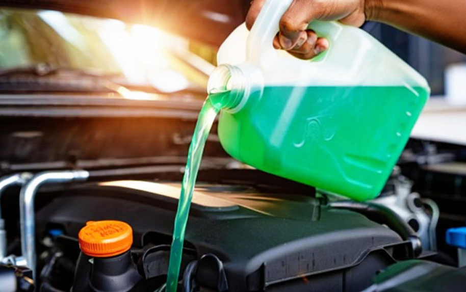 Фото: источник https://clck.ru/3SBXTE