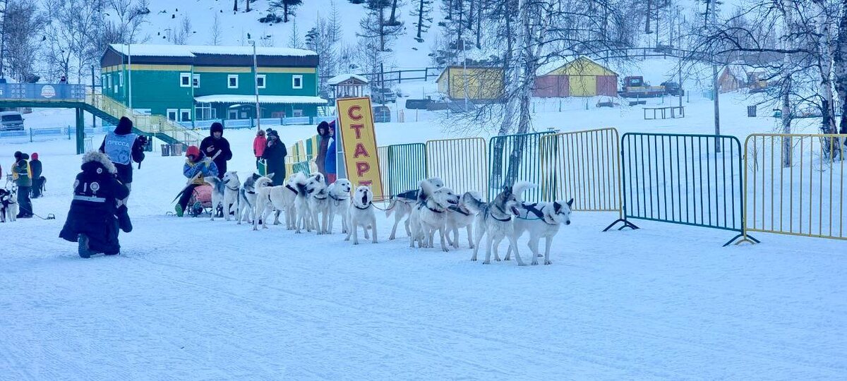 Фото: Данил Семенцул
