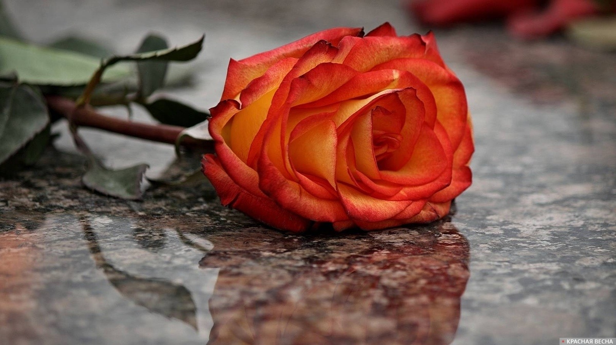     Скорбь   
Анна Рыжкова © ИА Красная Весна