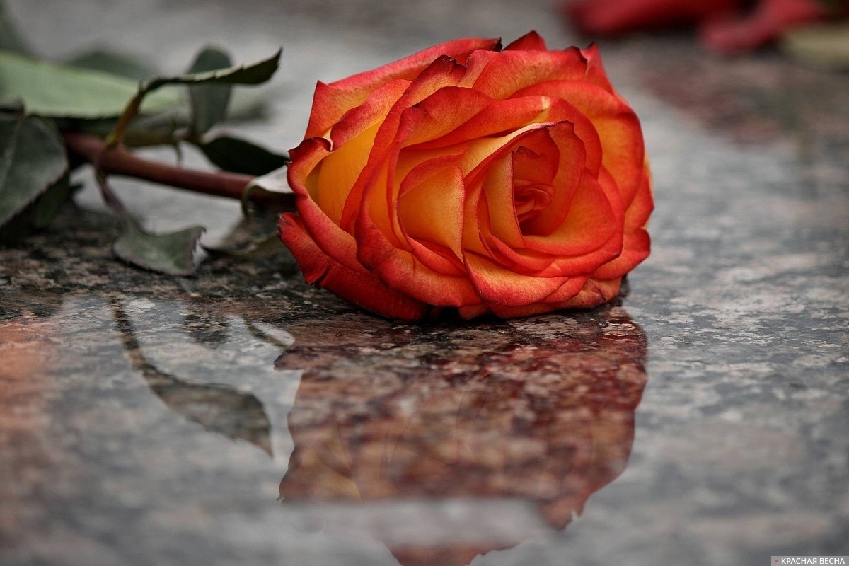     Скорбь   
Анна Рыжкова © ИА Красная Весна