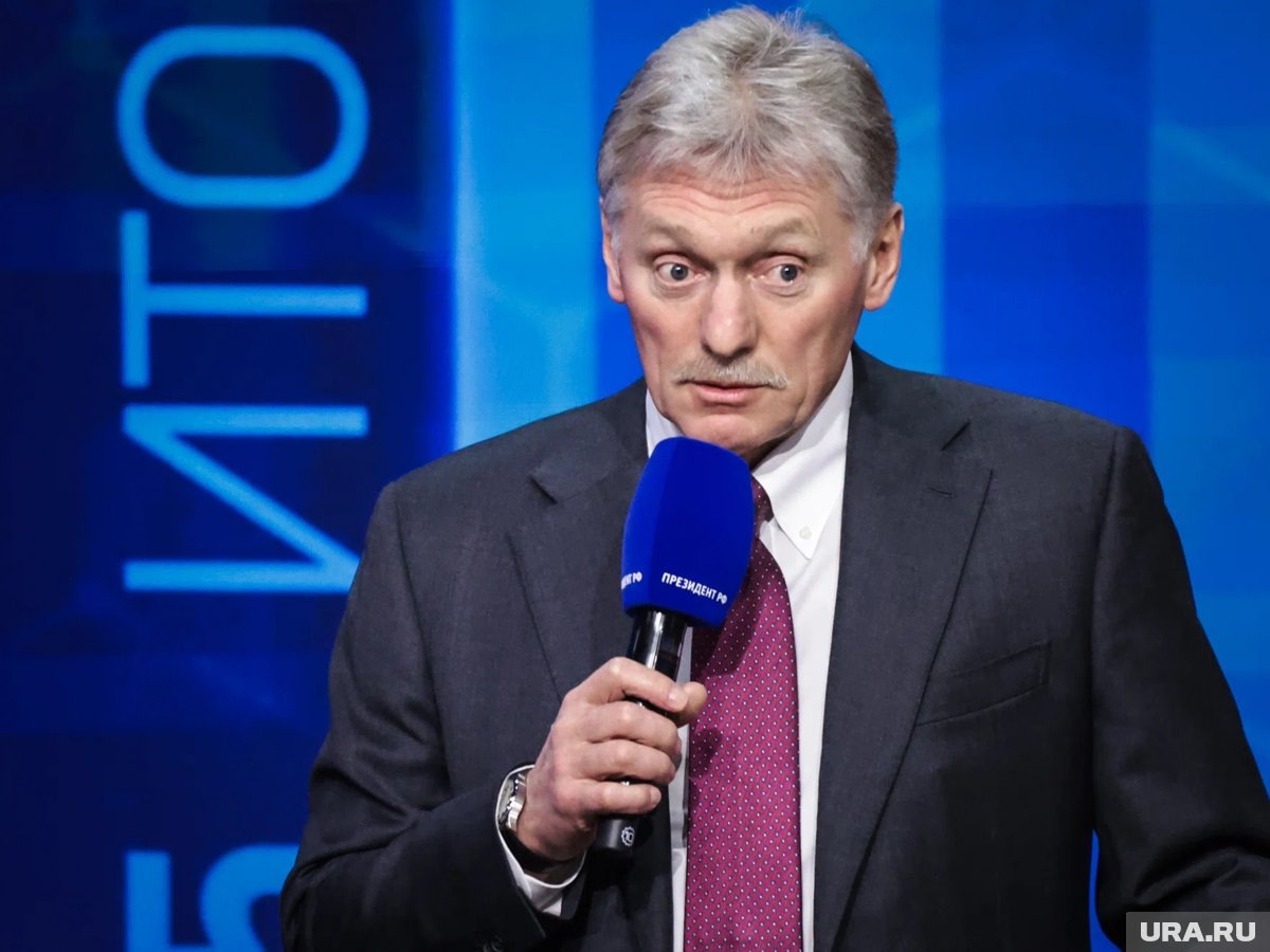     Если поддаться всеобщему хаосу, то до добра это не доведет, заявил Песков