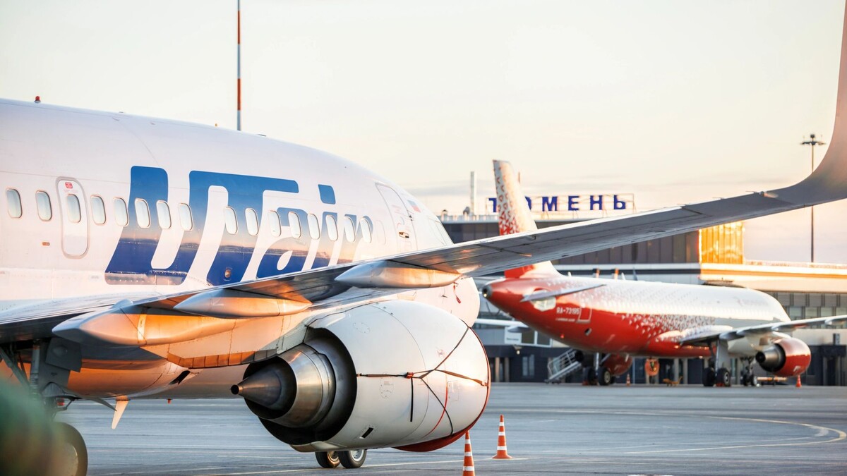    Фото: Andrey Sedoy / Shutterstock / Fotodom