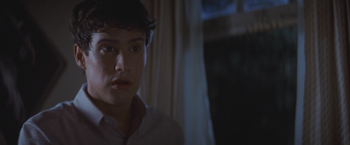 Американский актёр больше, чем «Ночью страха», запомнился российскому зрителю комедийным телесериалом «Голова Германа» 