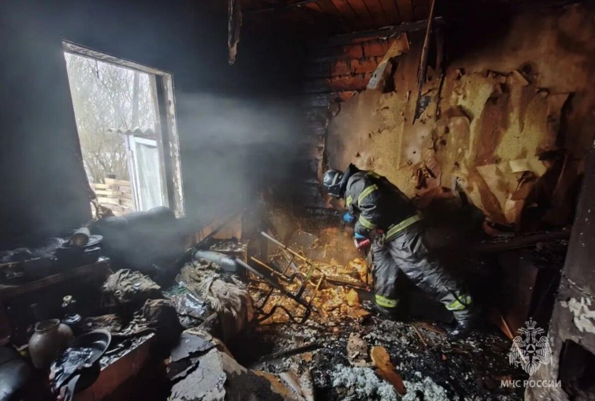    Фото: пресс-служба ГУ МЧС России по Ленобласти