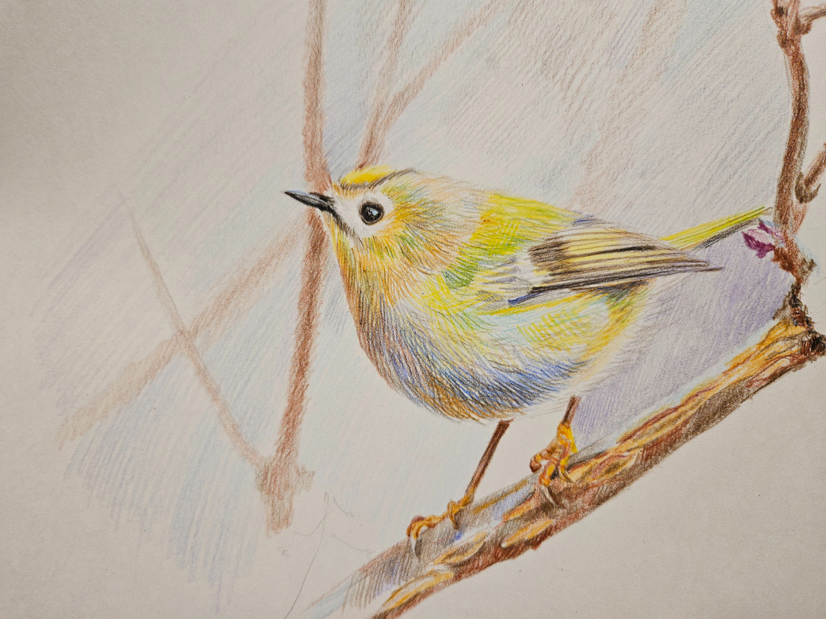 Проблемы с композицией)