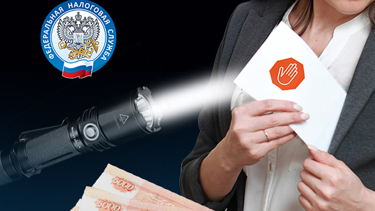 Как масштабная проверка «теневых» доходов меняет правила игры для всех