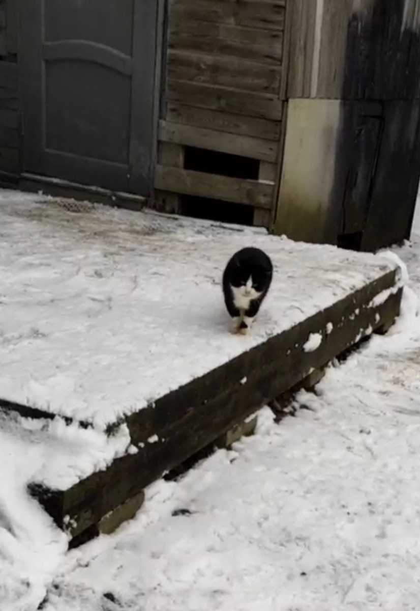 Так и выживал некому ненужный ...💔