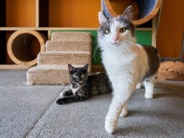    Фото: Мосфото