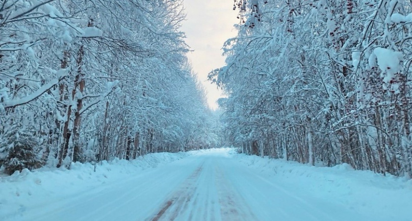    Фото редакции