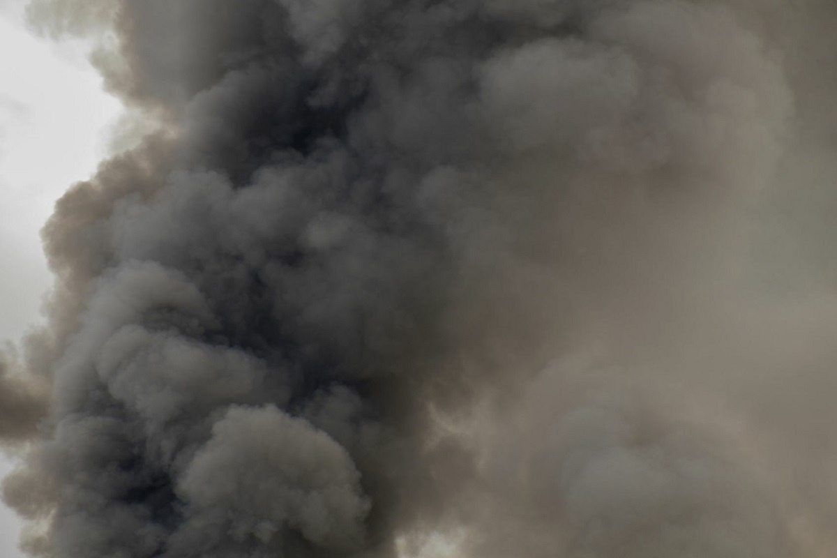    Фото: legion-media.ru