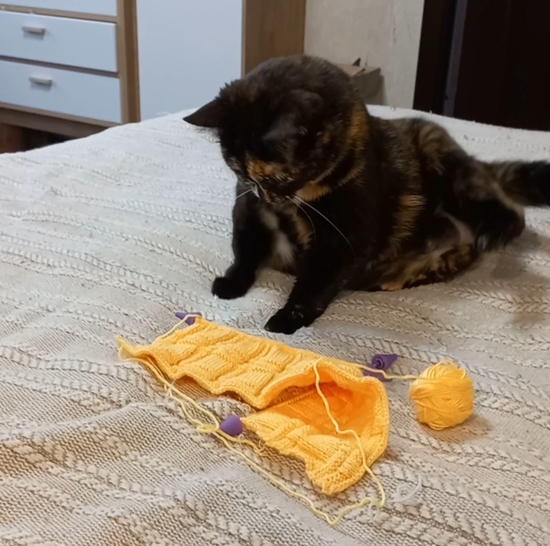 Такой объем провязан за неделю. Фрося помогает. Фото автора.