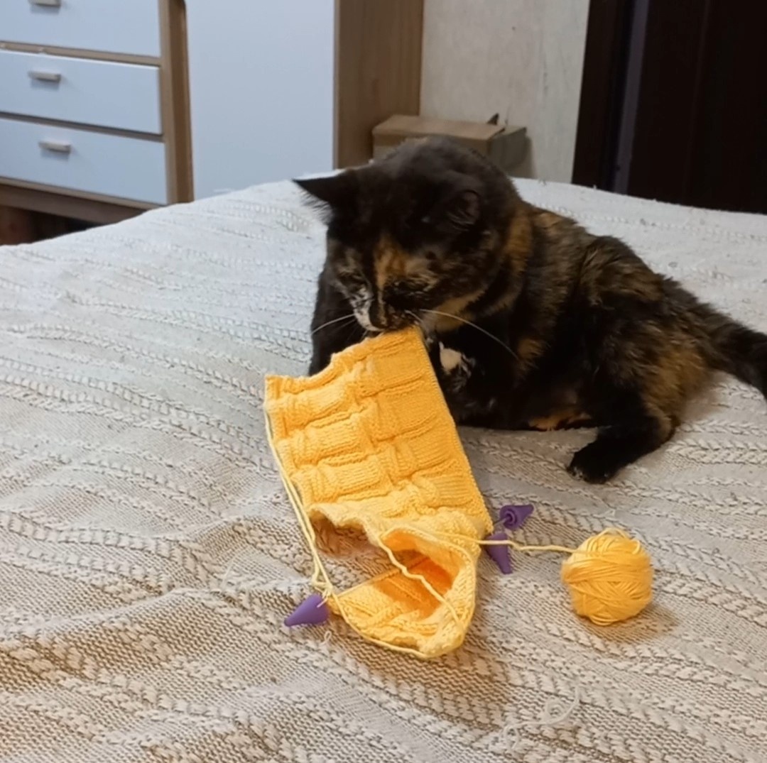 Фото автора.