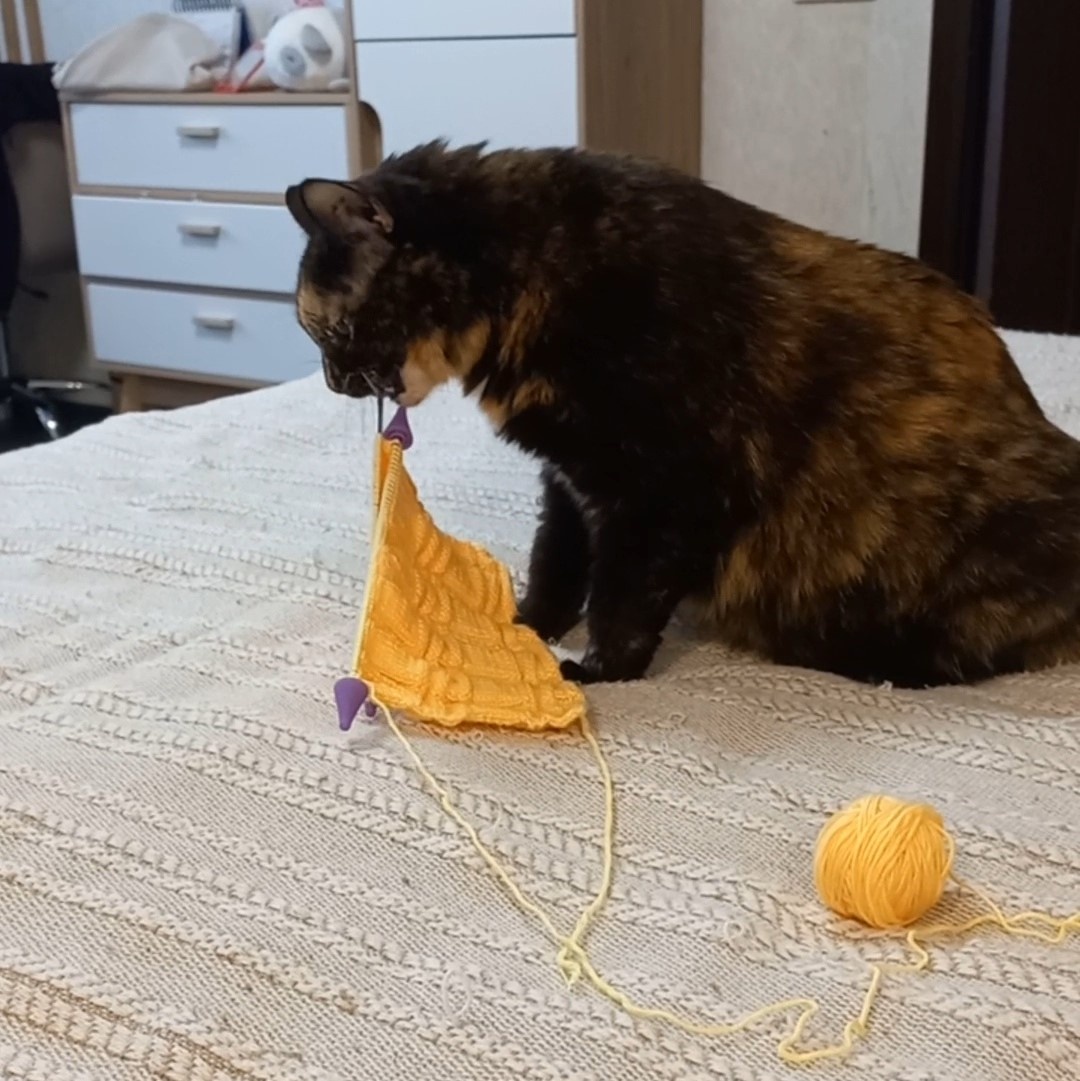 Фото автора.