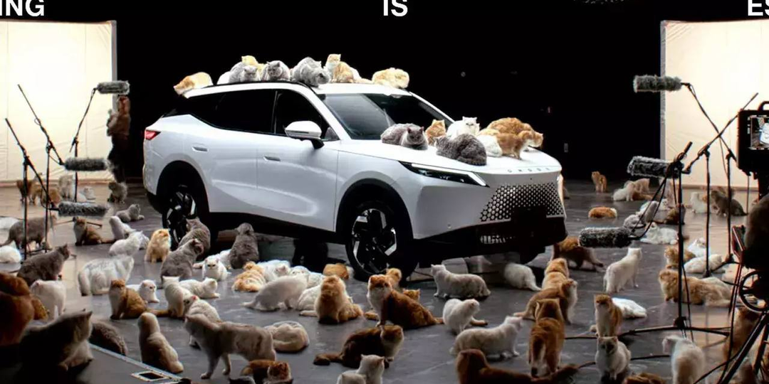 Краш-тест устарел: китайцы опять удивили и придумали секретный «кош-тест» машин