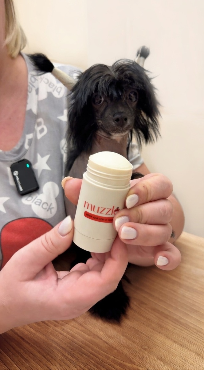 Питомник Собак - рекомендует!