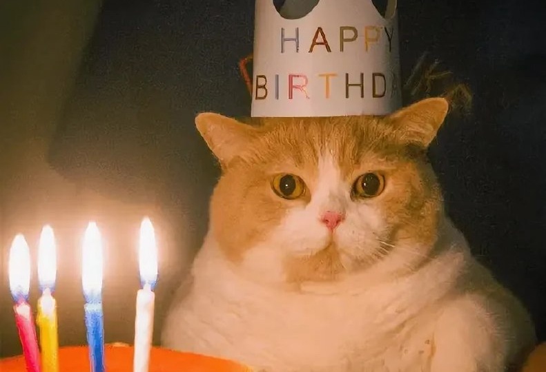 У админа сегодня день рождения