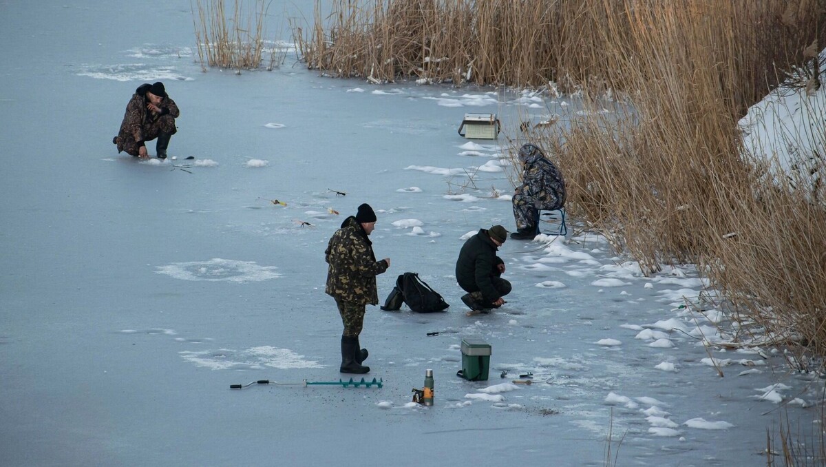    Ростовским рыбакам рассказали, где ловить рыбу в весенний нерестовый запрет   Photobank MD/cc0/flickr.com
