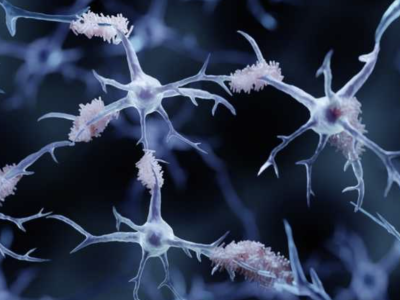    Физики разработали технологию добычи энергии прямо в устьях рек