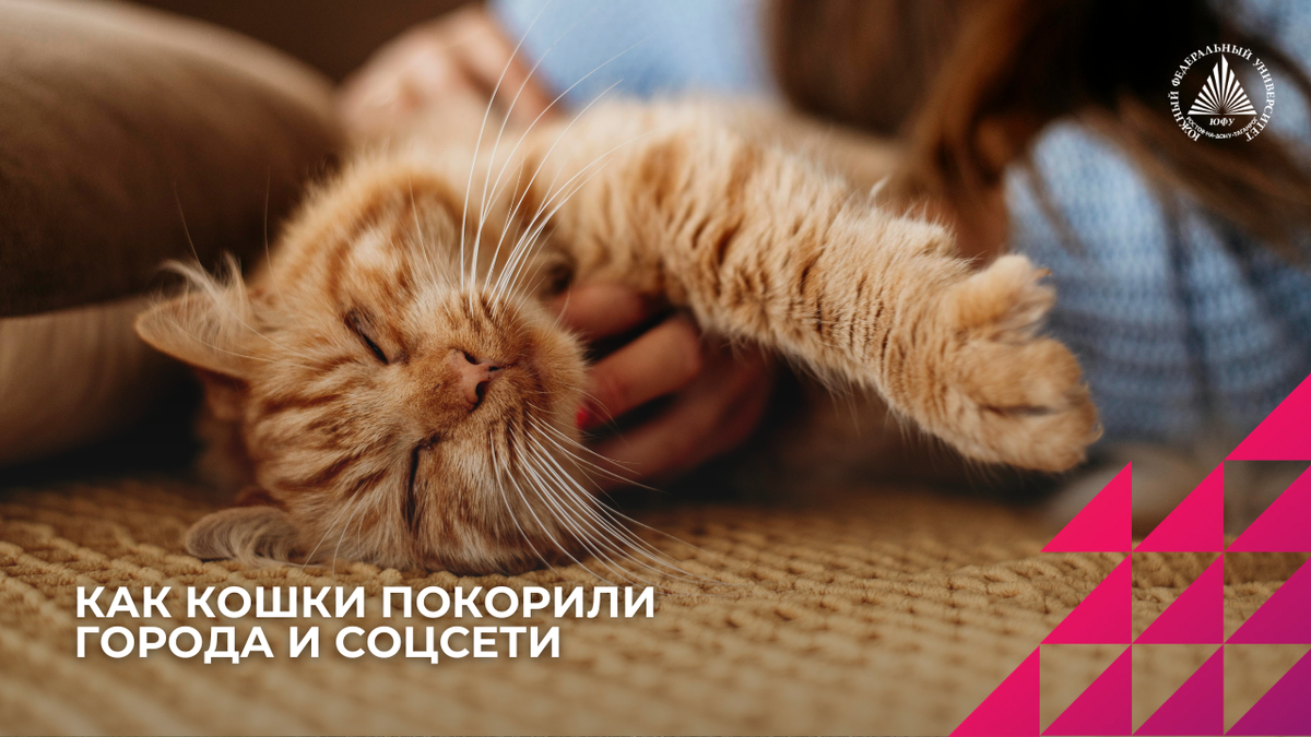 Фото: сайт freepik.com