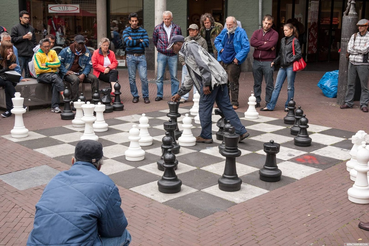     Уличные шахматы, Амстердам, Нидерланды    
Андрей Грук © ИА Красная Весна