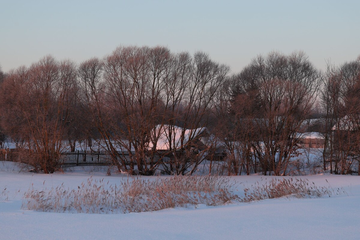  © Павел Орловский, Times.by