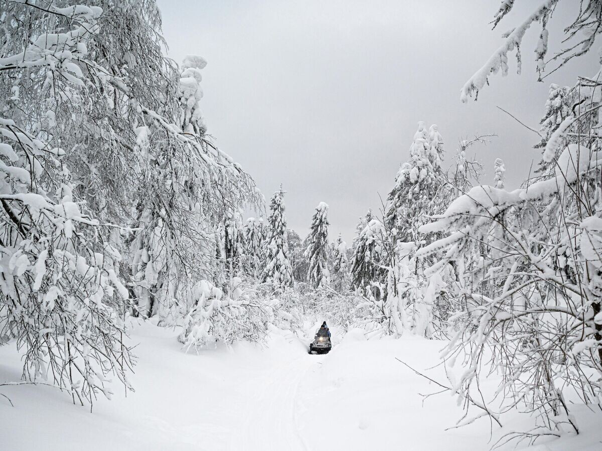    Снегоход по дороге на гору Полюдов камень в Пермском крае | © РИА Новости / Владимир Астапкович