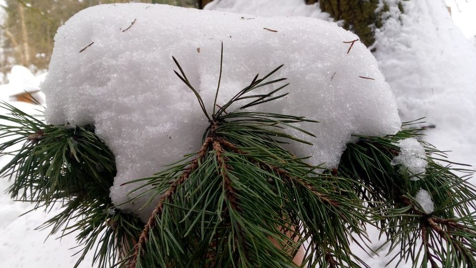 Вот и закончилась зима...