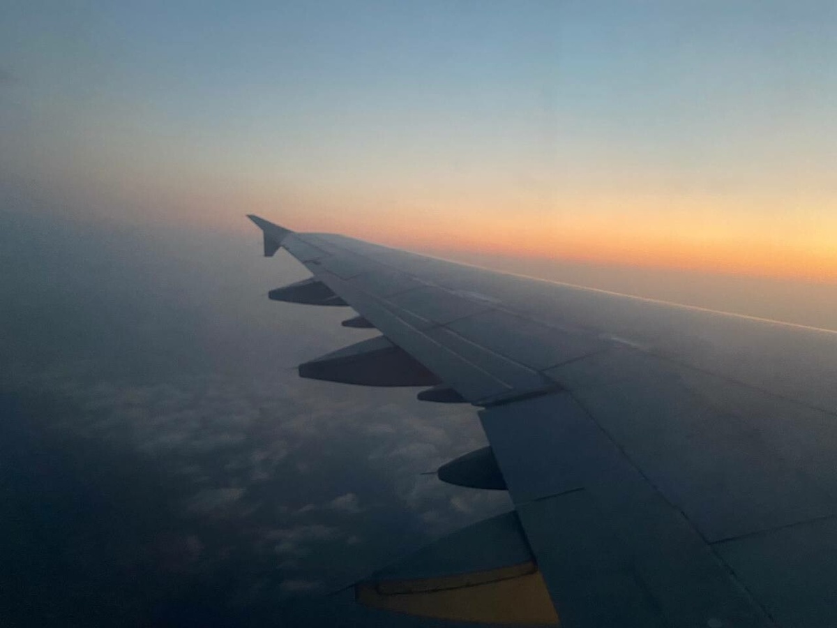     Фото: "Бриф24"