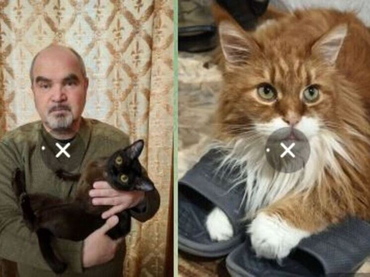     Фото: Вячеслав Лежнин, Николай Калиничев/ТГ.