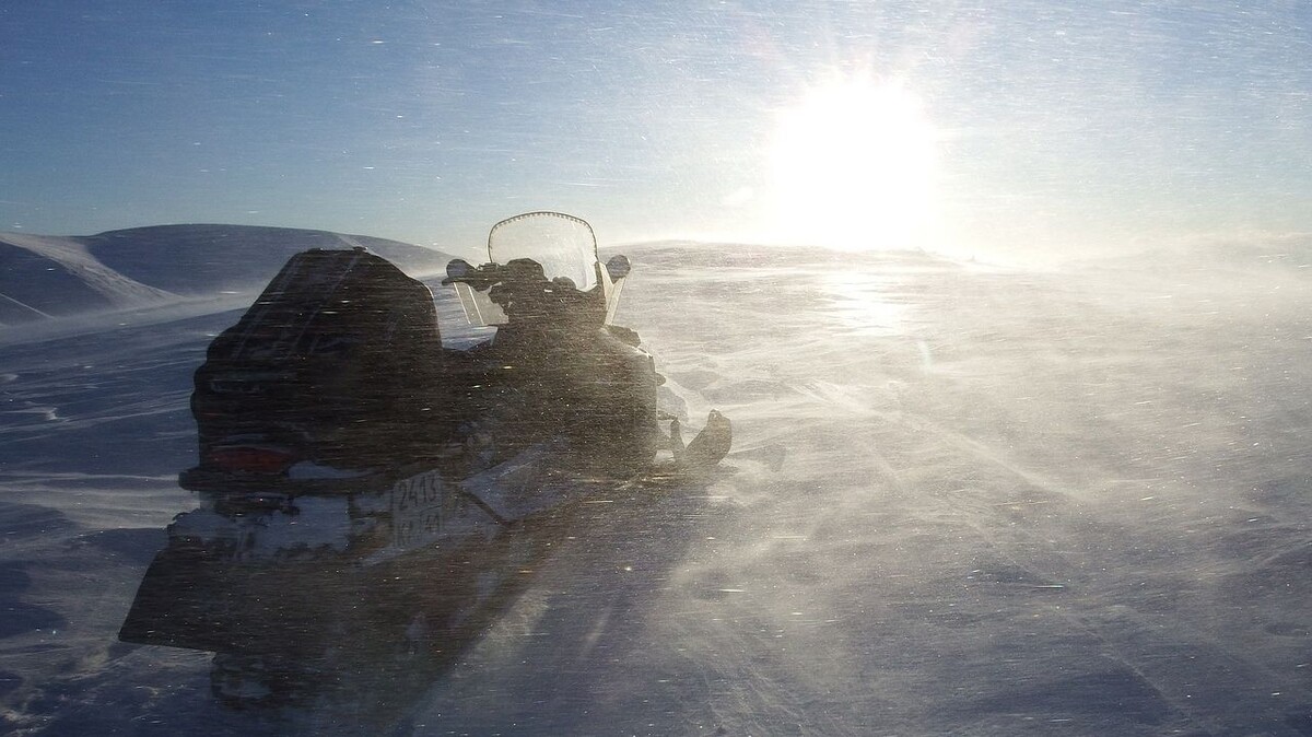     Снегоход   
(сс) Natalia_Kollegov