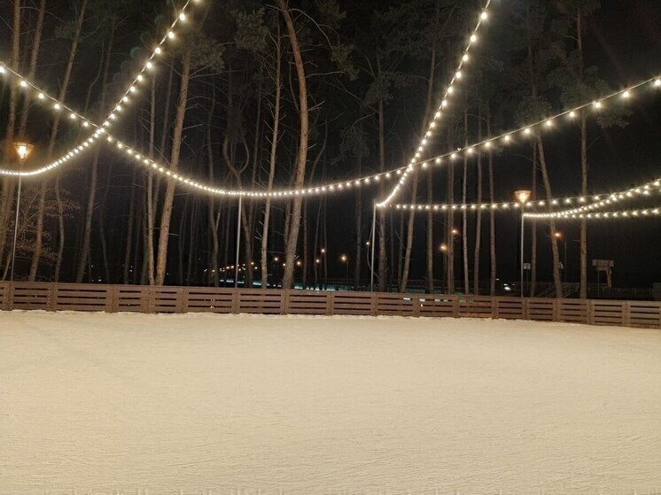     Пикник-парк в Белгороде объявил о завершении ледового сезона, фото: МК в Белгороде (архив)