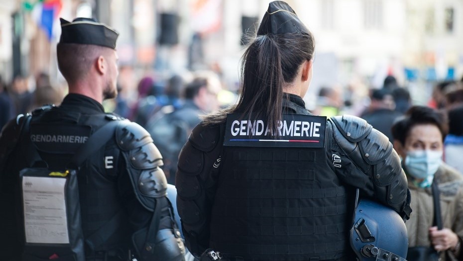    Автор фото: NeydtStock/Shutterstock/FOTODOM