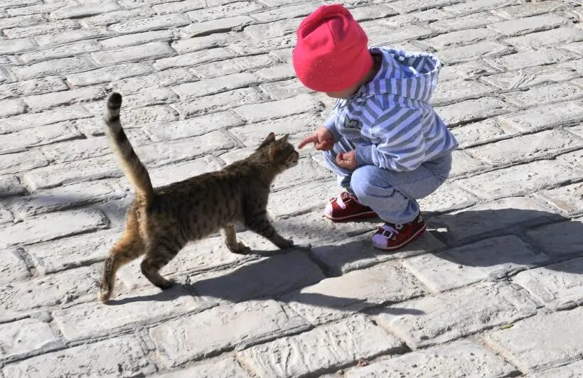     © РИА Новости. Наталья Селиверстова