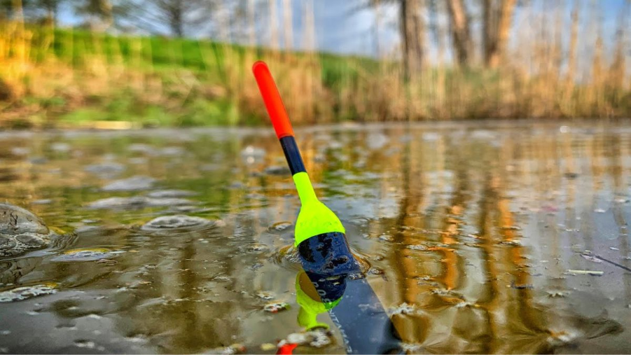 От таяния льда до первого улова: как проходит “пробуждение” водоёма