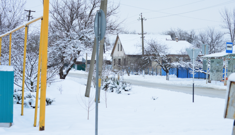 Фото автора. Январь 2026. Станица.