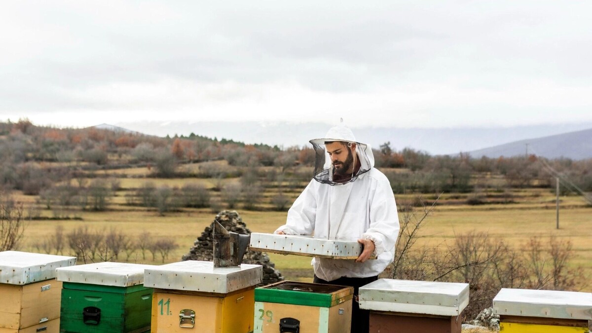    Пчеловод из Ростовской области сообщил, на что обратить внимание при выборе меда   freepik / freepik