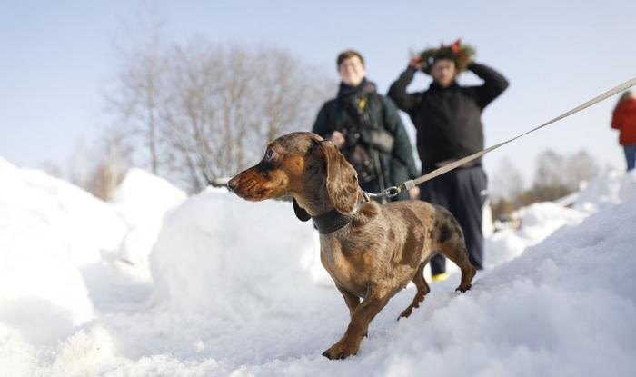 Обложка © Life.ru