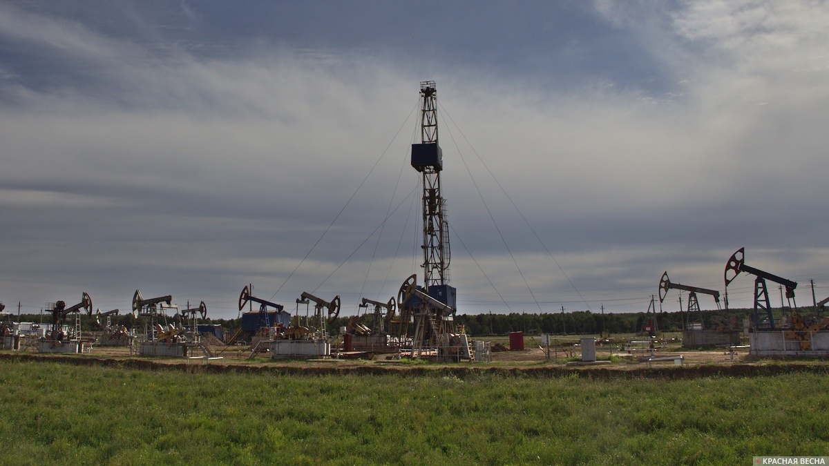     Нефтедобыча   
Павел Редин © ИА Красная Весна