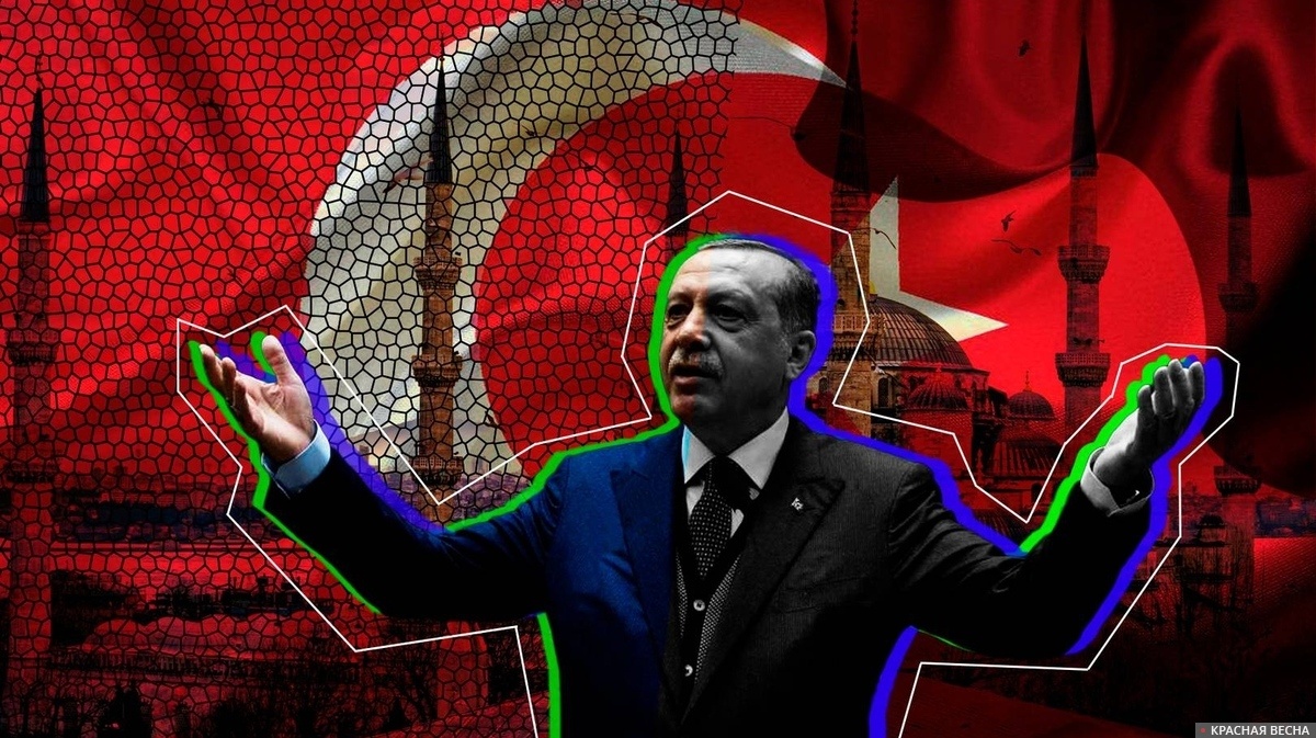     Президент Турции Эрдоган пытается выступить миротворцем   
Евгений Давыдов © ИА Красная Весна