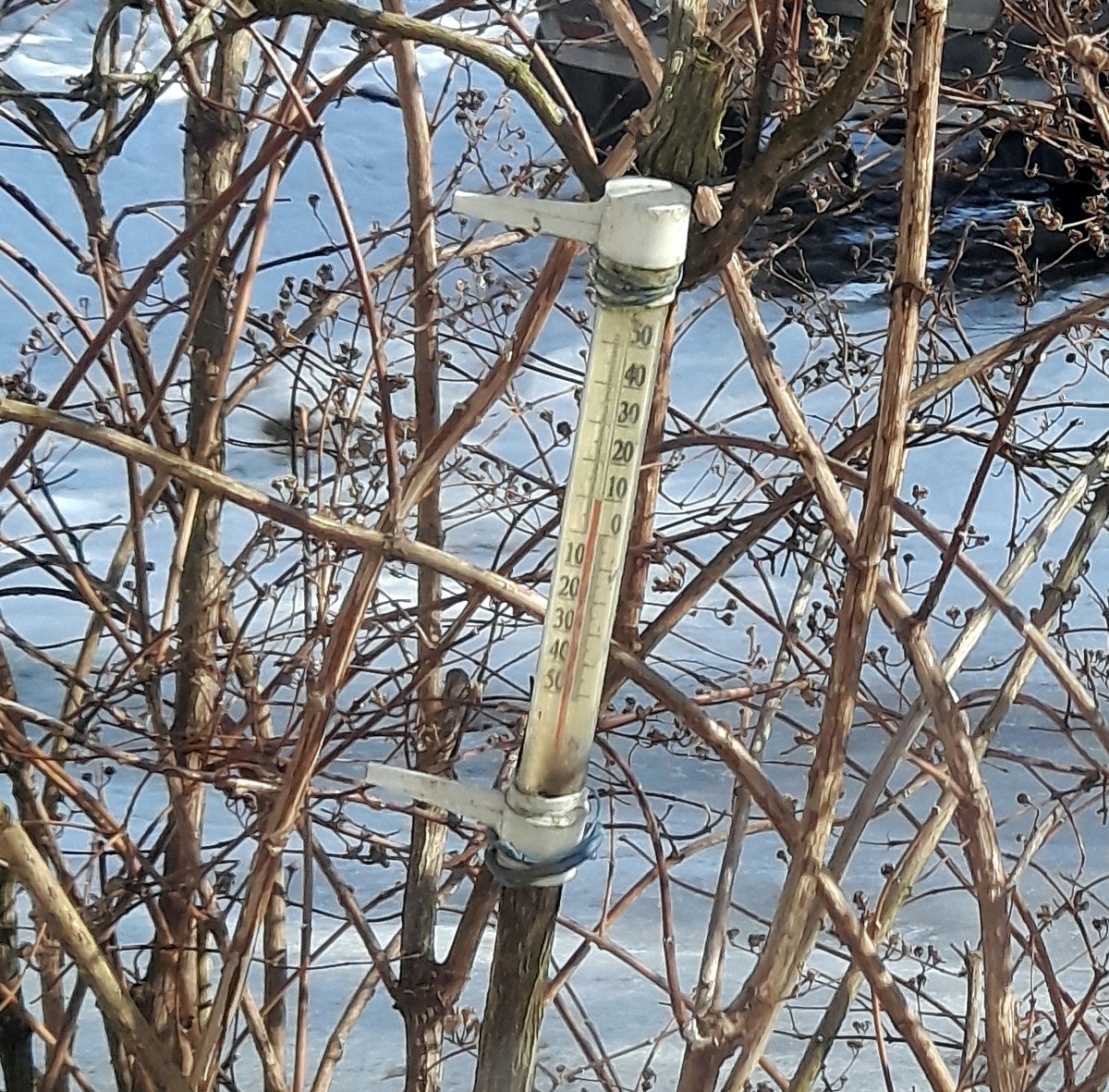 Реальность под окном