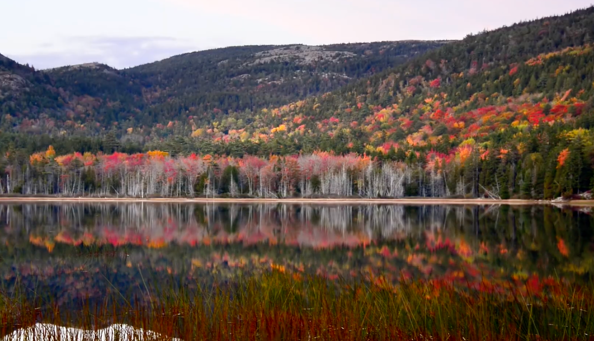 Буйство красок